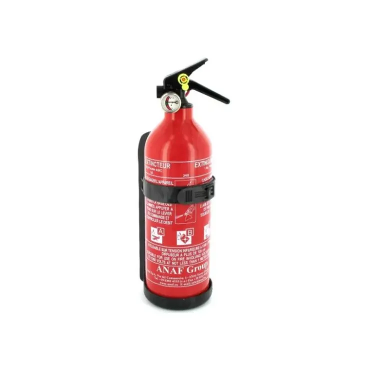 Best ANAF Group ANAF Extincteur ABC 1 kg | avec support et manomètre