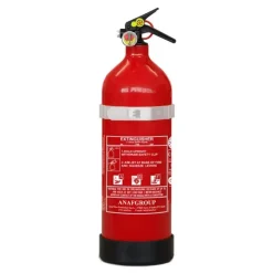Best ANAF Group ANAF Extincteur ABF 2 kg | avec support et manomètre