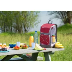 Best Campingaz Urban Bacpac Coolbag 30L
