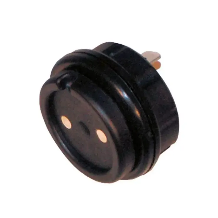 Hot Carbest Prise 12 V magnétique