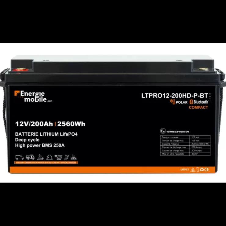 New Energie Mobile EM Batterie Lithium LTPRO12-200HD-P-BT- 2560 Wh