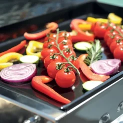 Discount ENO Cook' N Boat plancha | gaz