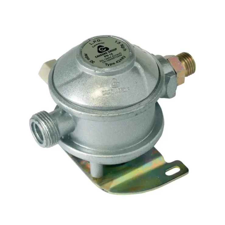Outlet Favex Détendeur 30 mBar VASP | 1,5 kg/h