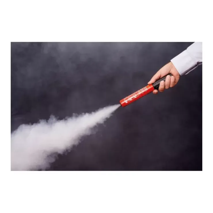 Best FIRE SUPPRESSION SYSTEMS FSS Inhibiteur de feu FSS100
