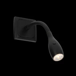 Best Haba C-line Furnari 2.0 Flex spot noir