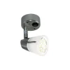 Discount Haba Spot Meteor