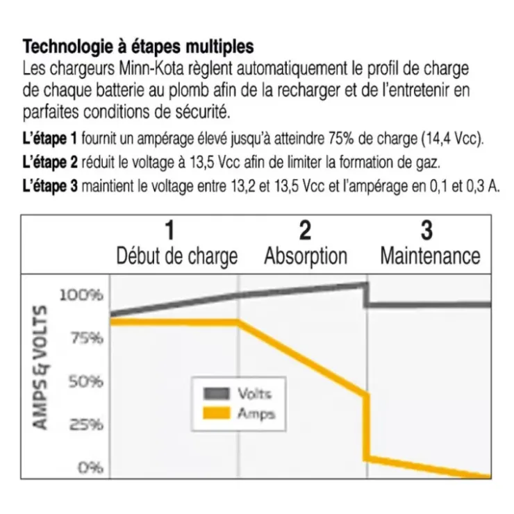 Minn Kota Chargeur de batterie 12/230 V | 5 ou 10 A | 2 ou 3 Sorties | IPx7