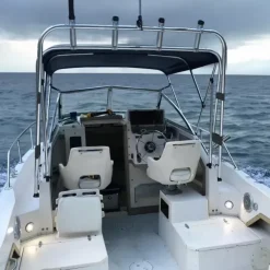 Sale Oceansouth Arceau porte cannes