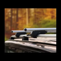 Online OMAC Barre de toit Boldbar Ford Transit 5