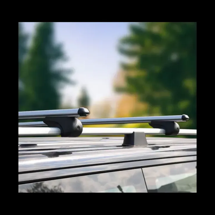 Discount OMAC Barres de toit Boldbar Ford Custom 1