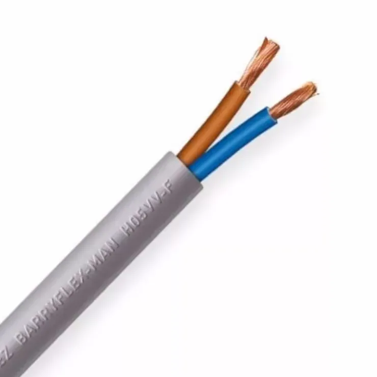 OMERIN Câble sur-gainé 2 x 2,5 mm²