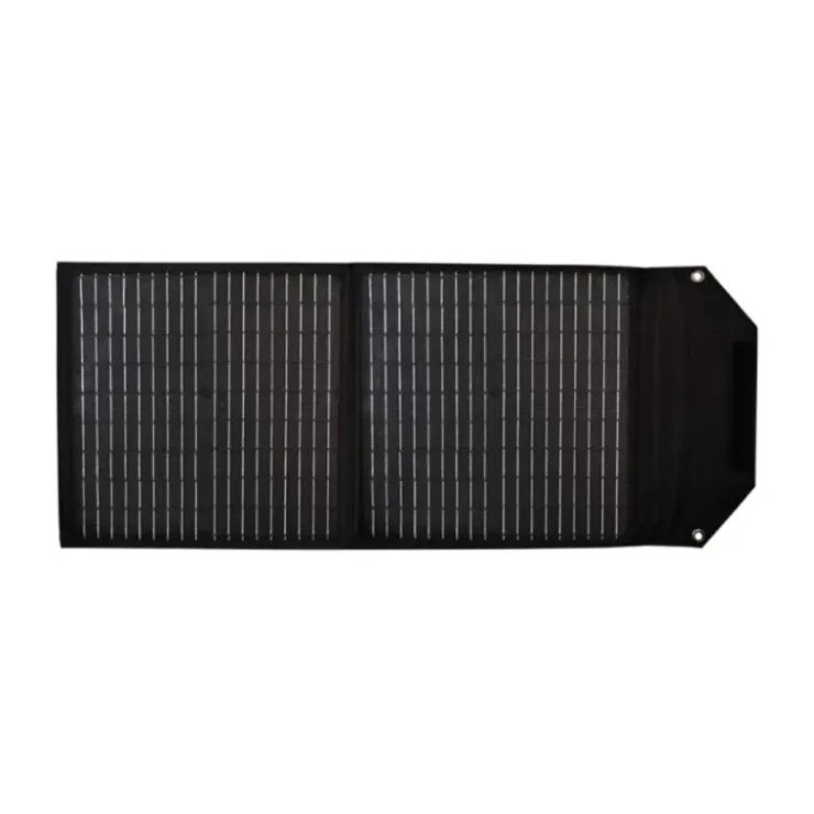 Outlet Orium IZYWATT 150 + Panneau solaire 40W