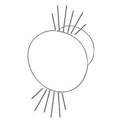 Sale Osculati Round Lumière de courtoisie LED à encastrer