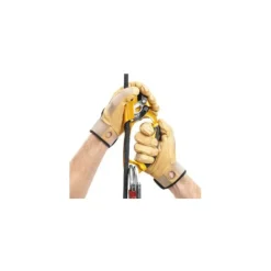 Discount PETZL Ascension