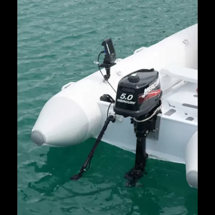Best RAILBLAZA Transducer Mount Arm