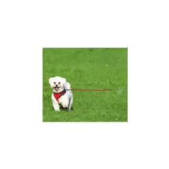 Sale Reimo Piquet pour chien 40 cm