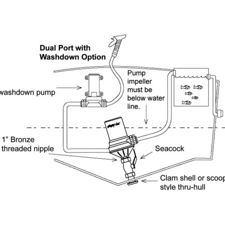 New Rule | Xylem RULE Pompe Dual Port 1600 GPH