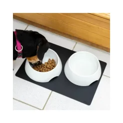 Discount SILWY Gamelles magnétiques en porcelaine avec tapis