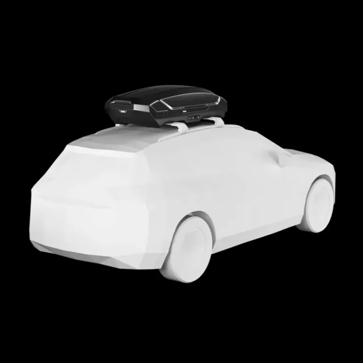 Thule Coffre de toit Motion 3 M