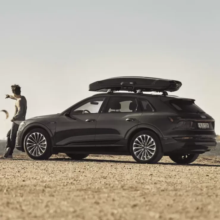 New Thule Coffre de toit Vector Alpine