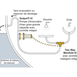 Whale Pompe toutes eaux Gulper IC